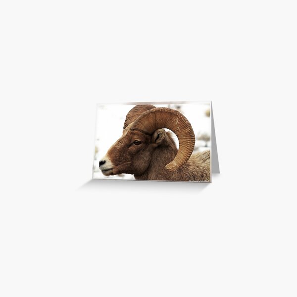 Item preview, Leader of the Pack designed and sold by Rick Thiemke.