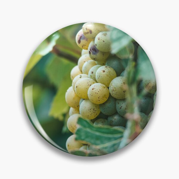 Item preview, On a grapevine in Fredericksburg, Texas designed and sold by Raul Cano.