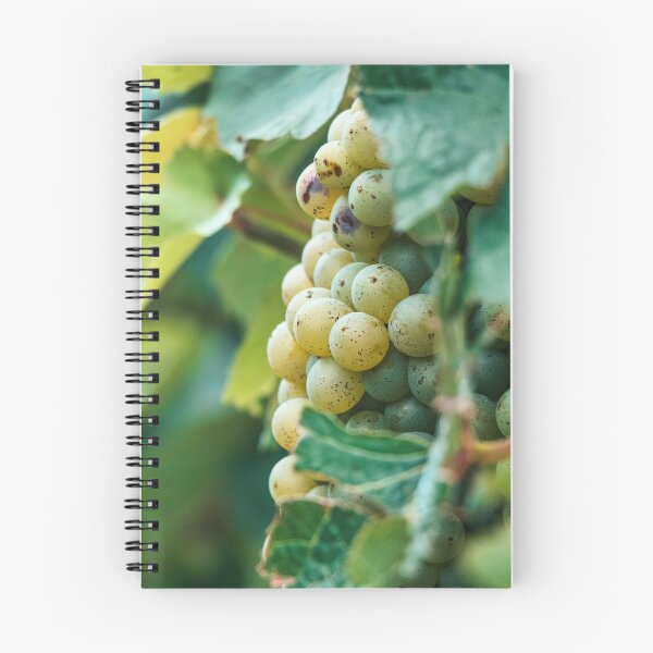 Item preview, On a grapevine in Fredericksburg, Texas designed and sold by Raul Cano.