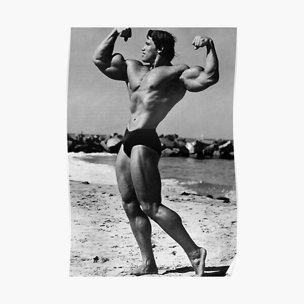 Arnold Schwarzenegger Poster