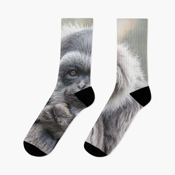 Item preview, Contemplation designed and sold by NaturallyArt.