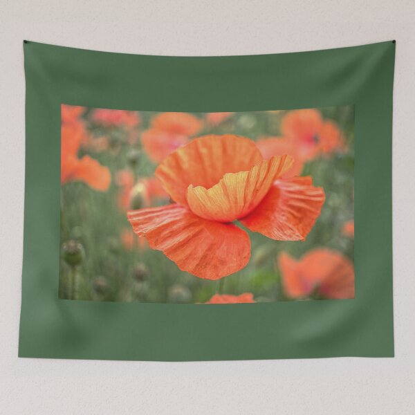 Item preview, Field Poppy Flower designed and sold by Alisonchambers2.