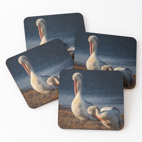Item preview, Preening time designed and sold by iansmissenphoto.