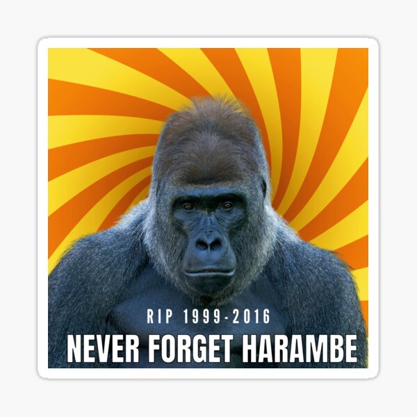 Harambe, Advance, gorilla, Giphy, hashtag, Leash, Internet meme