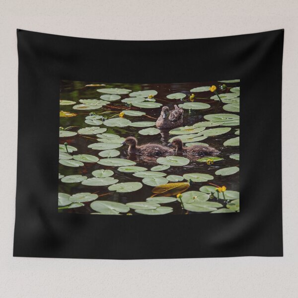 Item preview, Keeping an eye on thre yangsters between the brandy bottles. Eurasian wigeon designed and sold by Jouko Lehto Photography.