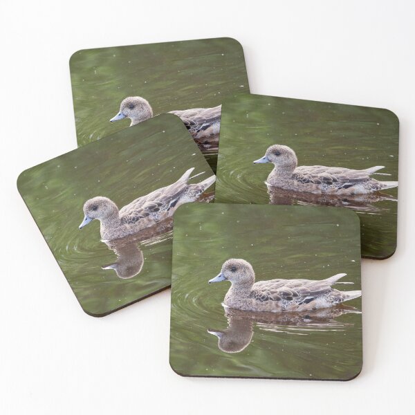 Item preview, Natural blond. Eurasian wigeon designed and sold by Jouko Lehto Photography.