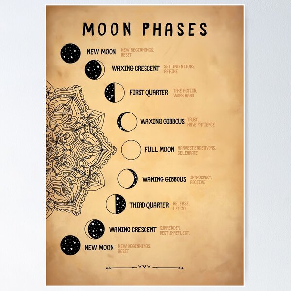 Order of the Moon Phase Cycle Poster Storyboard