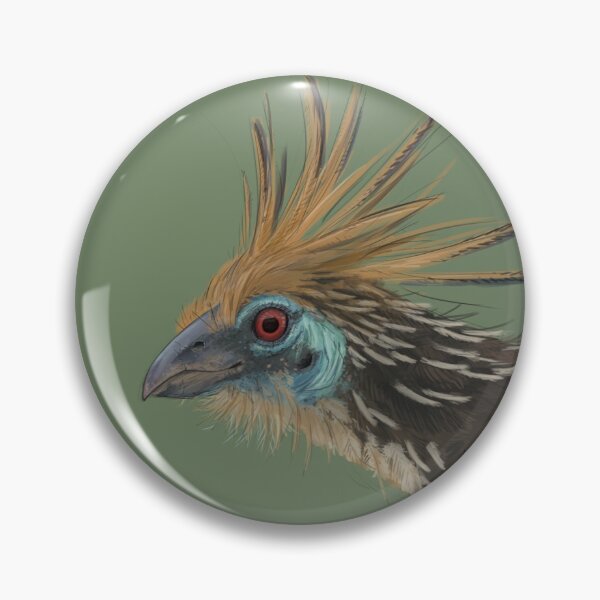 Aperçu de l'œuvre Hoatzin créée et vendue par Ringtailed.