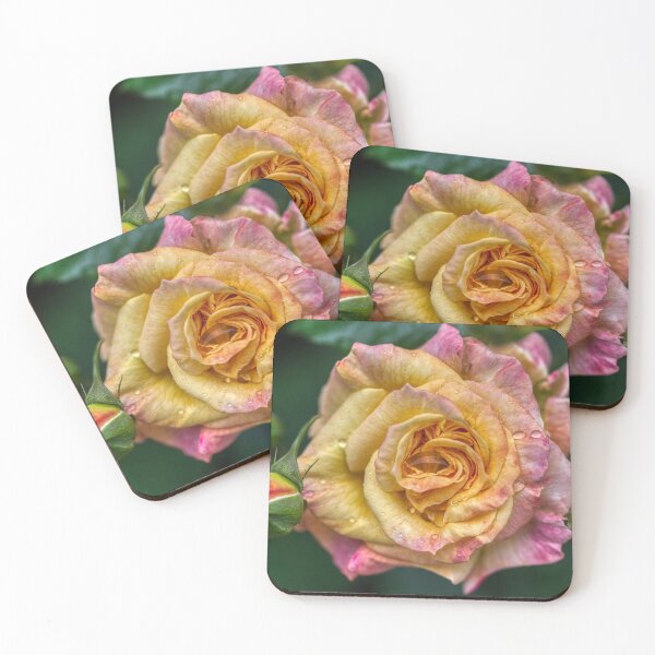 Item preview, Rose in the Morning designed and sold by Emote Bot.