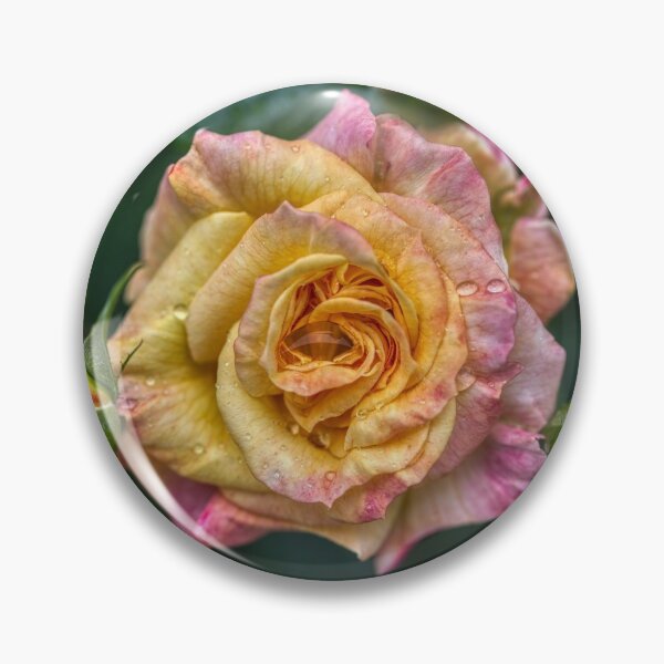 Aperçu de l'œuvre Rose du matin créée et vendue par Emote Bot.