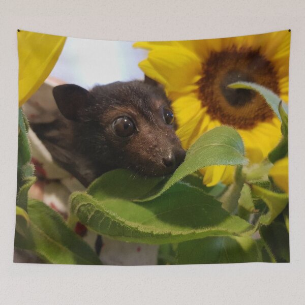 Item preview, Max Baby Bat In Sunflowers designed and sold by BabyBats.