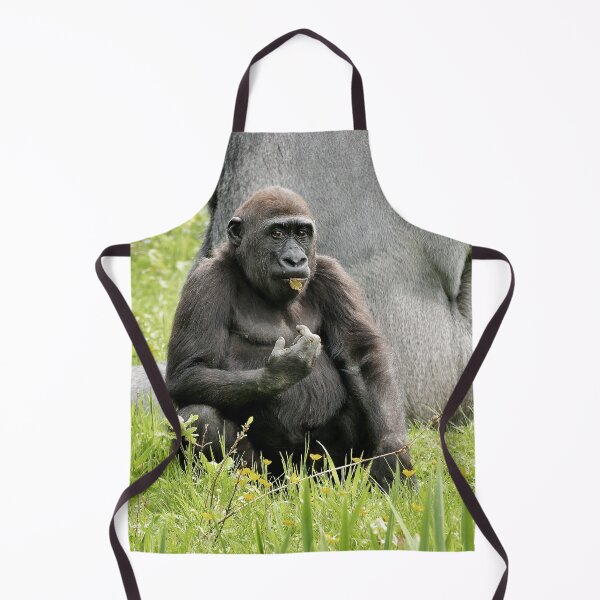 Item preview, r1109/ Finition 2021 " Melle. Gorille avec son Père Protecteur ! " 2016 (c) Olavia-Olao Okaio Créations designed and sold by o.okaïo.