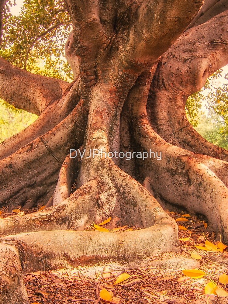 Thumbnail 3 of 3, Scarf, Tree Roots designed and sold by DVJPhotography.