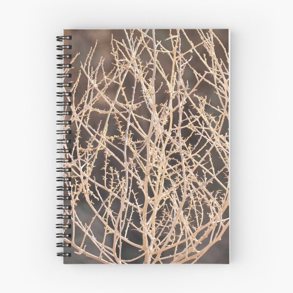 Item preview, A Hand Holding a Tumbleweed designed and sold by Gwenn Seemel.