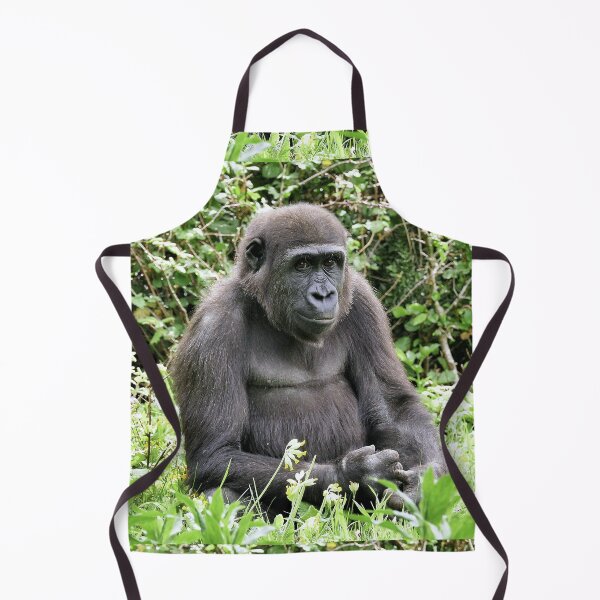 Item preview, r1108/ Finition 2021 " le Jeune Gorille en Portrait Sympa " 2016 (c) Olavia-Olao Okaio Créations designed and sold by o.okaïo.