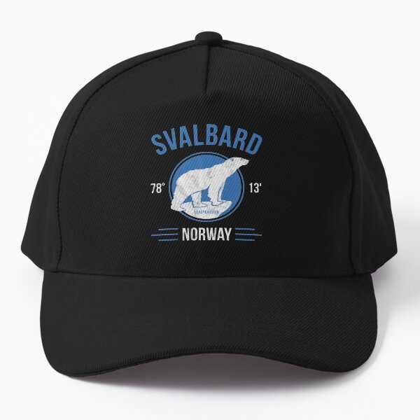 Aperçu de l'œuvre Ours polaire de Svalbard - Longyearbyen Norvège créée et vendue par IncognitoMode.