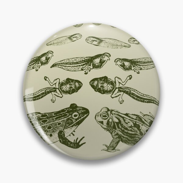 Item preview, Vintage Biology: Frog Life Cycle Metamorphosis from Toad to Tadpole for Science Lovers and Natural History Enthusiasts designed and sold by MinistryOfFrogs.