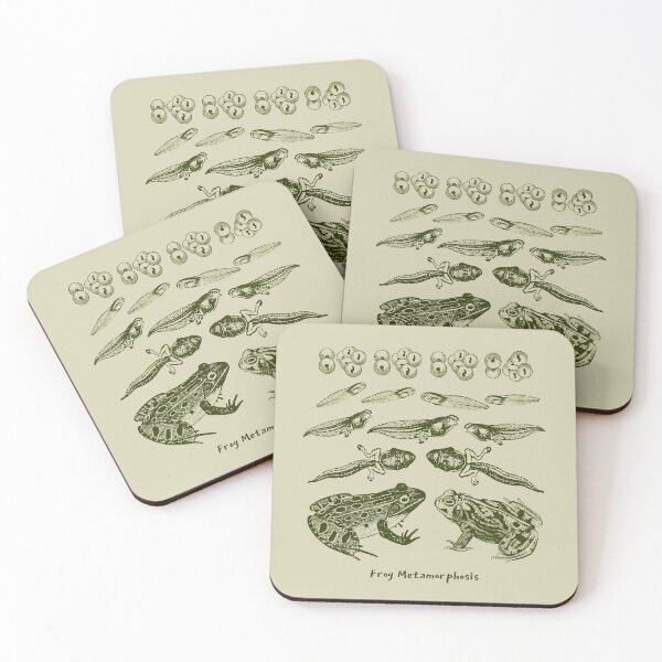 Item preview, Vintage Biology: Frog Life Cycle Metamorphosis from Toad to Tadpole for Science Lovers and Natural History Enthusiasts designed and sold by MinistryOfFrogs.