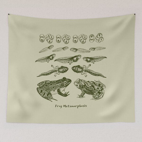 Item preview, Vintage Biology: Frog Life Cycle Metamorphosis from Toad to Tadpole for Science Lovers and Natural History Enthusiasts designed and sold by MinistryOfFrogs.