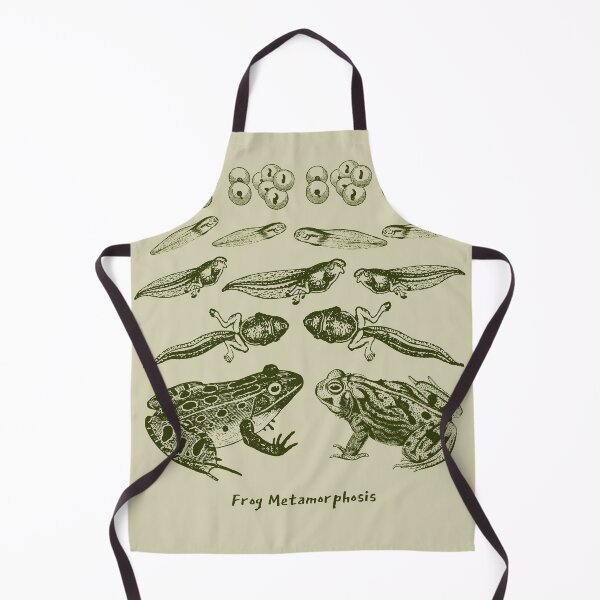 Item preview, Vintage Biology: Frog Life Cycle Metamorphosis from Toad to Tadpole for Science Lovers and Natural History Enthusiasts designed and sold by MinistryOfFrogs.