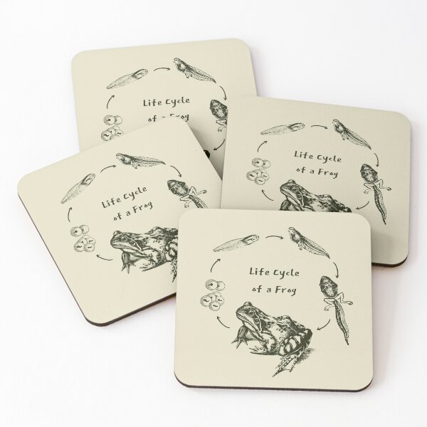 Item preview, Vintage Biology Frog Life Cycle, Nature Lovers Toad Tadpole Metamorphosis, Science and Natural History  designed and sold by MinistryOfFrogs.
