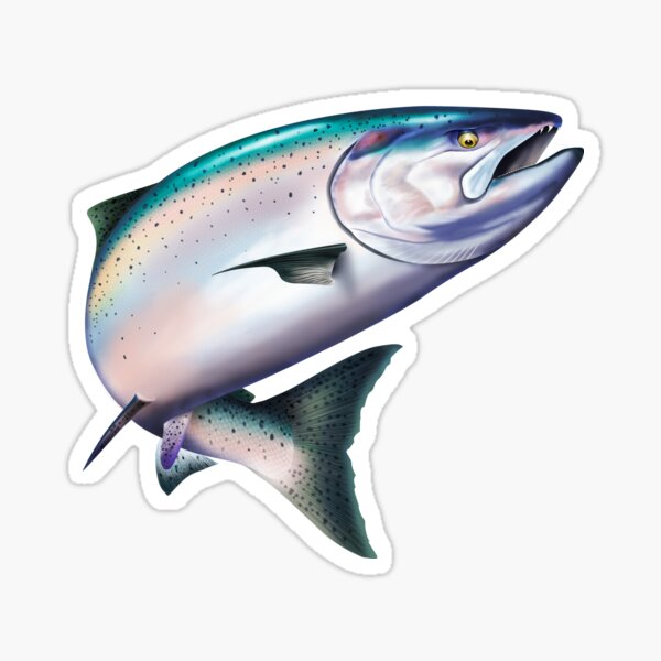 Alaskan Salmon Vinyl Decal Sticker Glow in the Dark Dip Net