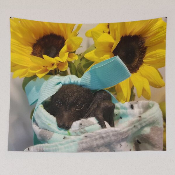Item preview, Baby Bat Feisty With Sunflowers.? designed and sold by BabyBats.