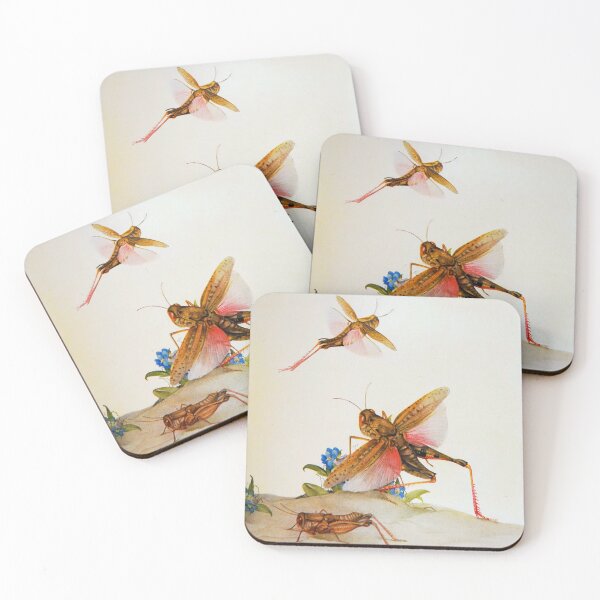 Item preview, Locust illustration designed and sold by Vintage Designs +.