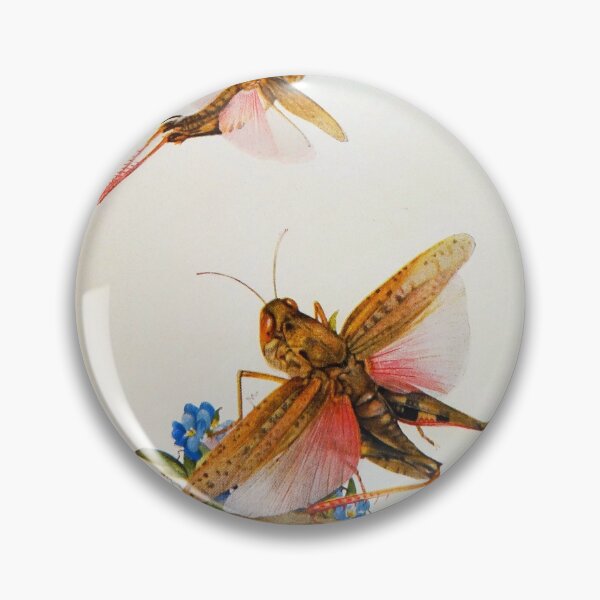 Item preview, Locust illustration designed and sold by Vintage Designs +.