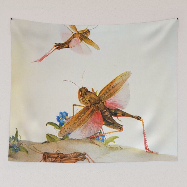 Item preview, Locust illustration designed and sold by Vintage Designs +.