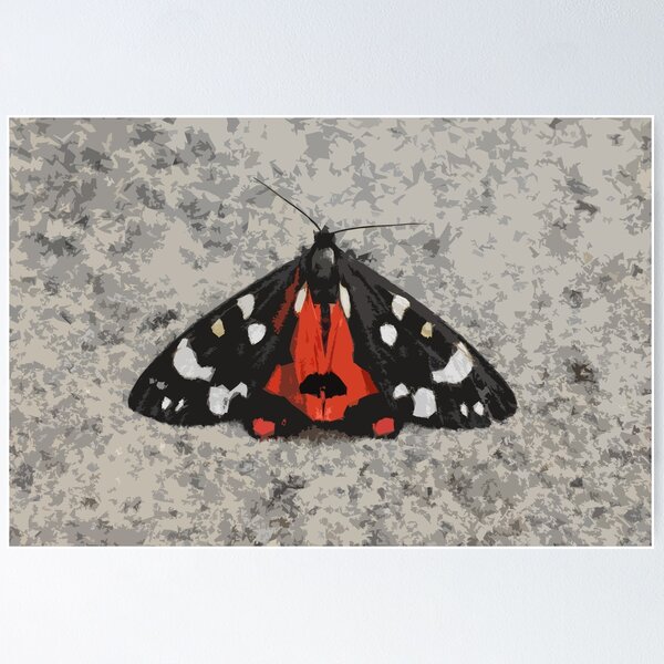 Item preview, Scarlet Tiger Moth designed and sold by karmardesigns.