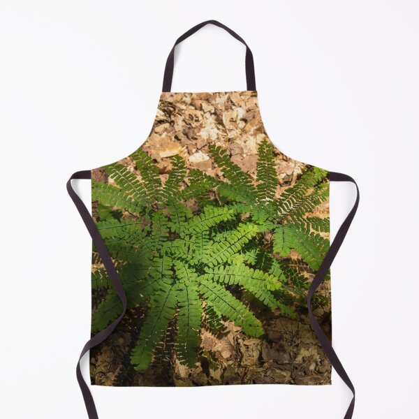 Item preview, Star Shaped Forest Floor Treasures - Diminutive Maidenhair Ferns designed and sold by Georgia Mizuleva.
