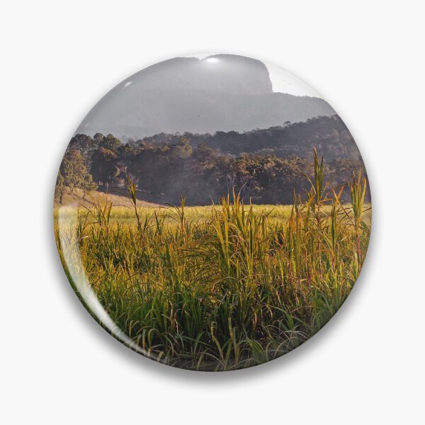 Item preview, Cane fire  Mt Warning designed and sold by John Van Den Broeke.