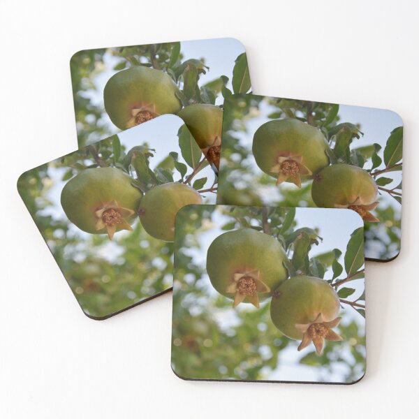 Item preview, Unripe Pomegranates designed and sold by DanaLauraPhoto.