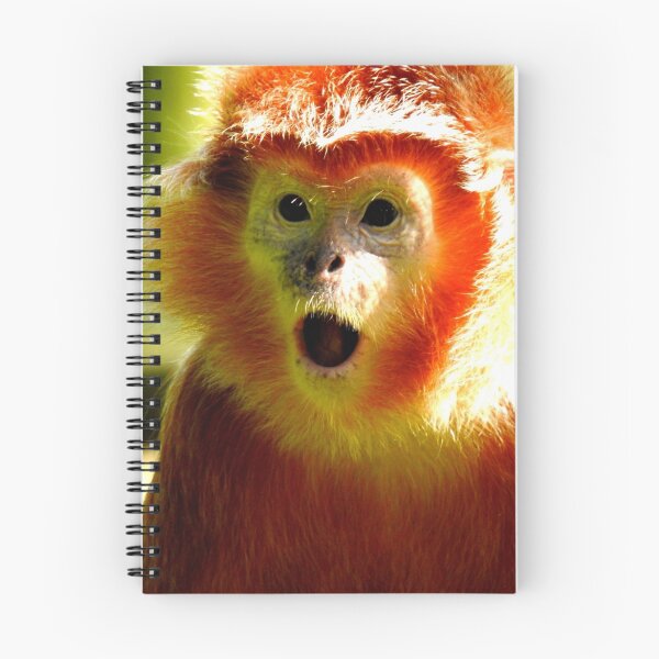 Item preview, Javan Langur Two designed and sold by Barnbk02.