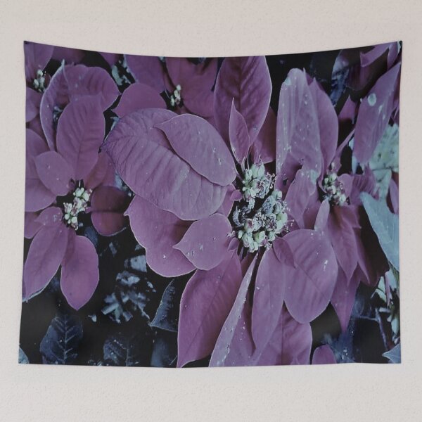 Item preview,  POINSETTIA   designed and sold by Coolklaset.