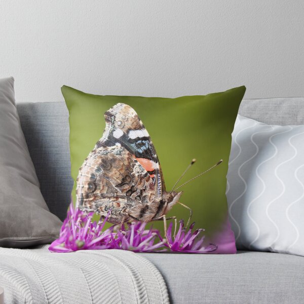 Item preview, Red Admiral Butterfly With Green Bokeh designed and sold by Dan Dexter.