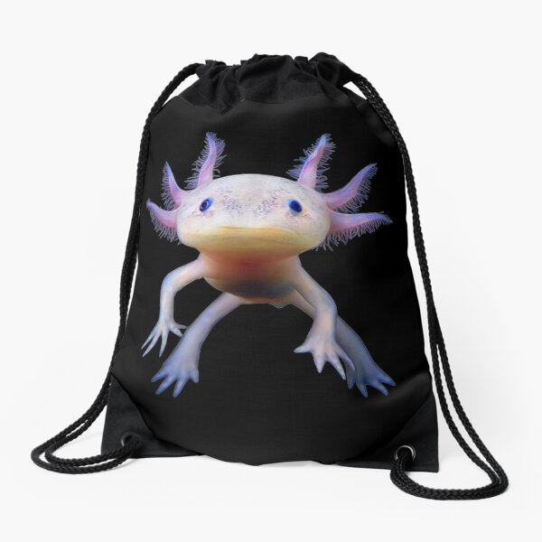 axolotl mystery bags