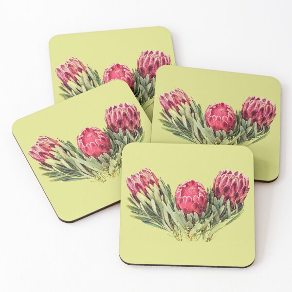 Item preview, Protea flowers South Africa sugarbush suikerbos angiosperm designed and sold by SolidEarthArt.