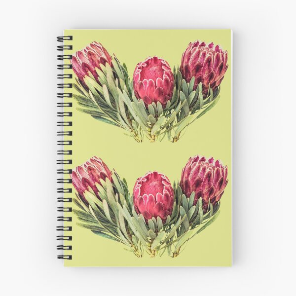 Item preview, Protea flowers South Africa sugarbush suikerbos angiosperm designed and sold by SolidEarthArt.