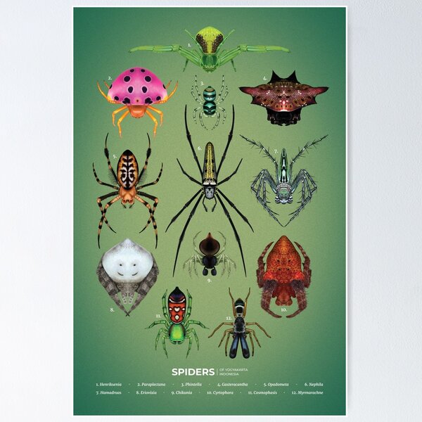 Item preview, Spiders Plate designed and sold by Franz Anthony.