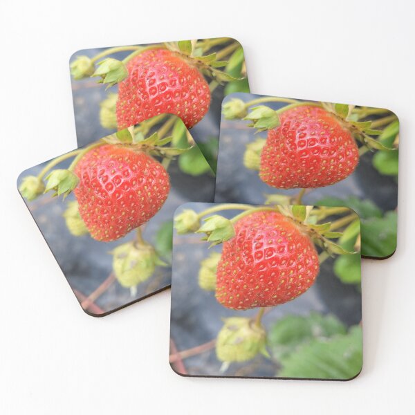 Item preview, Strawberry designed and sold by HeiDaddy.