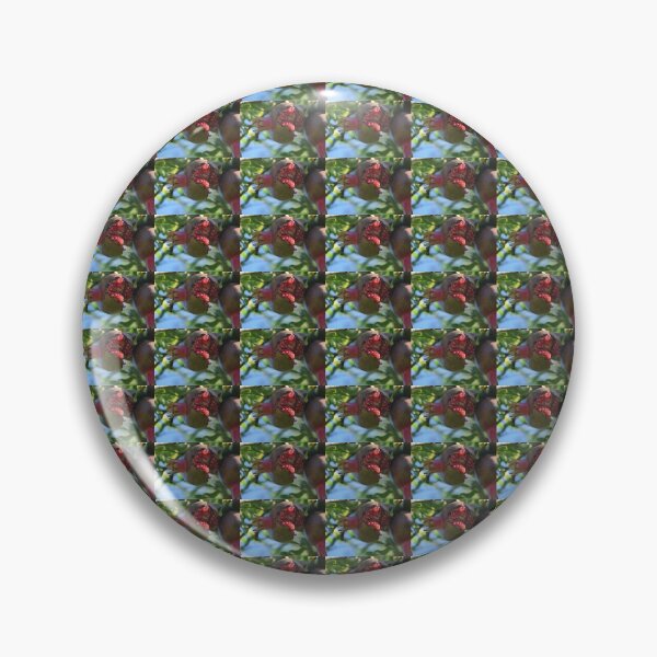 Item preview, Pomegranate Seeds designed and sold by DanaLauraPhoto.