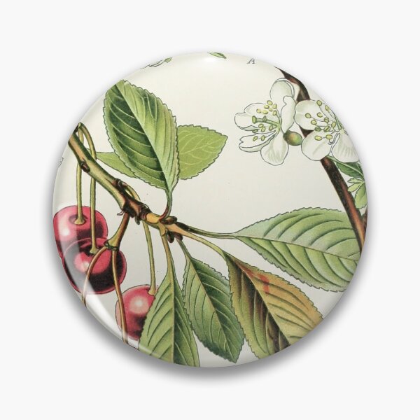 Item preview, Cherry Life Cycle designed and sold by NatureLand.