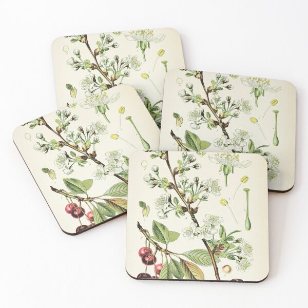 Item preview, Cherry Life Cycle designed and sold by NatureLand.