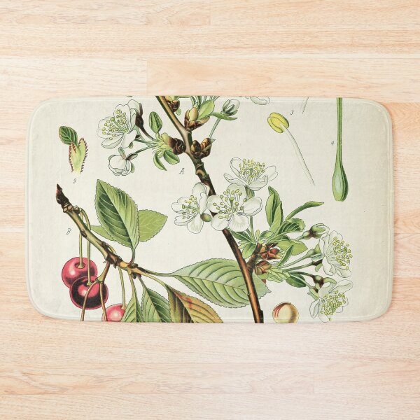 Item preview, Cherry Life Cycle designed and sold by NatureLand.