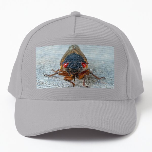 17-Year Periodical Cicada Face Baseball Cap