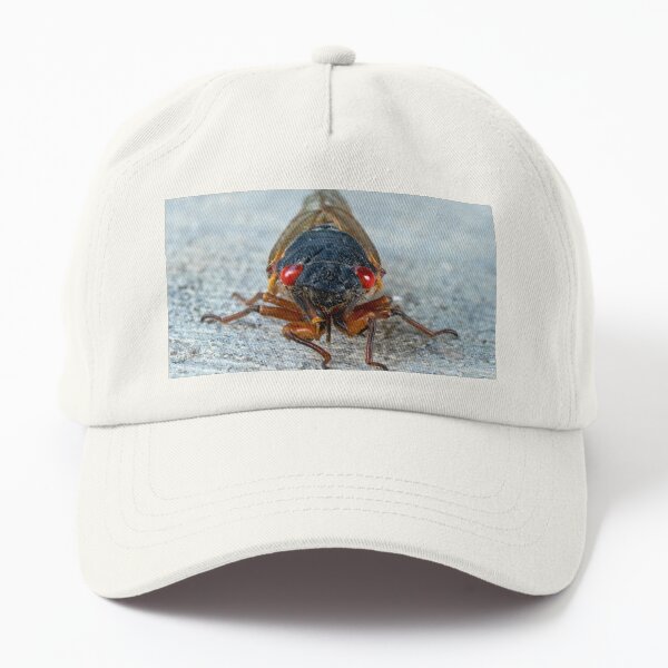 17-Year Periodical Cicada Face Dad Hat