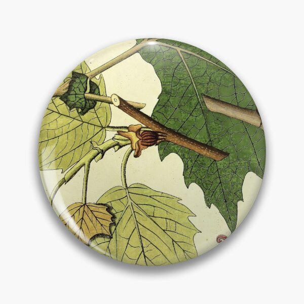 Item preview, Sycamore Life Cycle designed and sold by NatureLand.