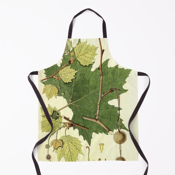 Item preview, Sycamore Life Cycle designed and sold by NatureLand.